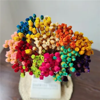 Букет Щастливите Цветове на Сватбени Аксесоари от естествени Сухоцветов Букет, подаръци, Украшения за дома, Аксесоари, Инкрустация на Хелоуин