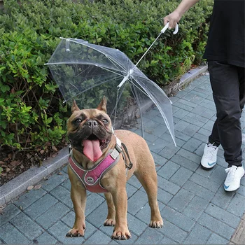 Чадър от дъжд за кучета и котки, чадър за кучета, чадър от слънце и дъжд, чадър за пътуване за деца, улични супермаркети
